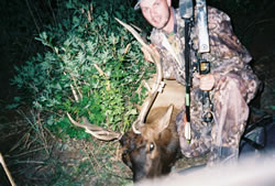My 2004 5x5 bull elk