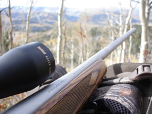 Browning A-Bolt 243 WSSM rifle resting on pack while elk hunting.