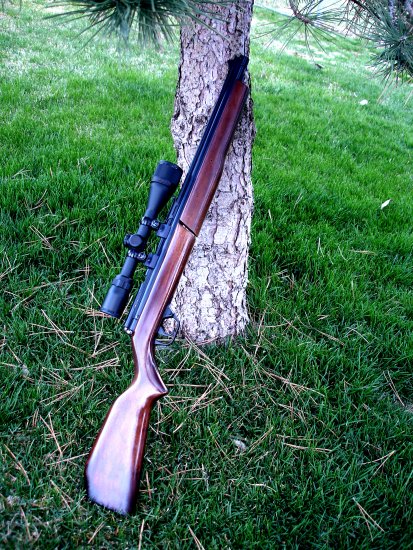 Benjamin 397 Pellet Rifle with Bushnell 4-12x Scope