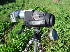 Sony W7, Bushnell sentry digiscope setup