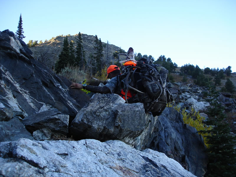 Packing out my 5x5 bull elk up some boulder fields