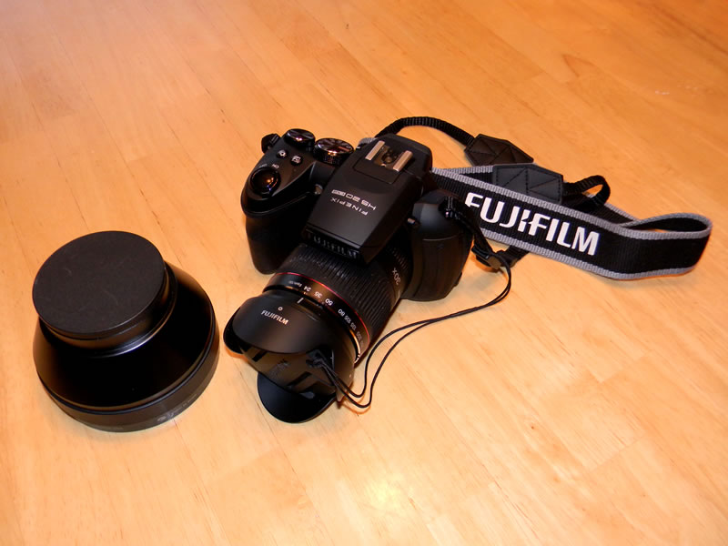 FujiFilm HS20 with a Sony VCL-HG1758 teleconverter.