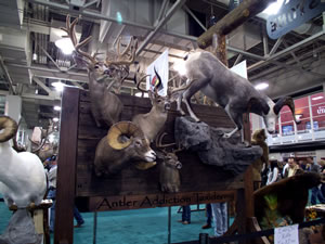 Deer and sheep mounts at the Western Hunting Expo