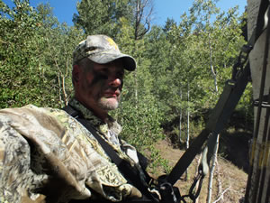 Hunting for elk in a Tree Saddle tree stand.