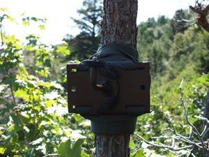 Browning Trail Camera Mount