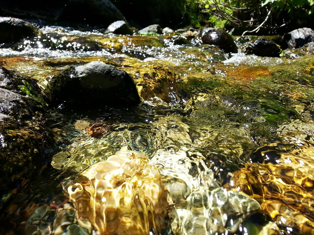 Creek close-up water rock