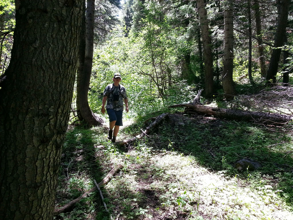 Dallen hiking while check trail cameras