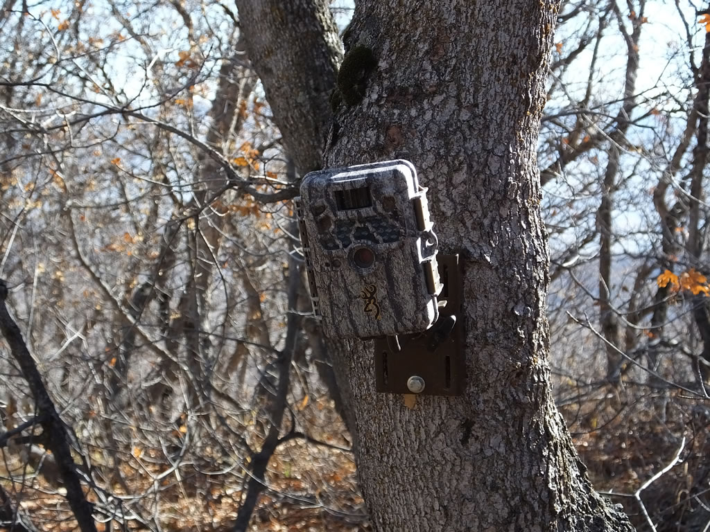 Browning Trail Camera Tree Mount Bolted to tree