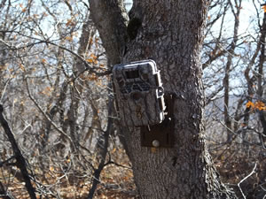 Browning Recon Force Trail Camera