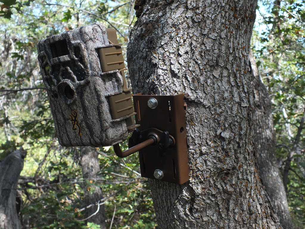 Browning Trail Camera Mount with Lag Bolts