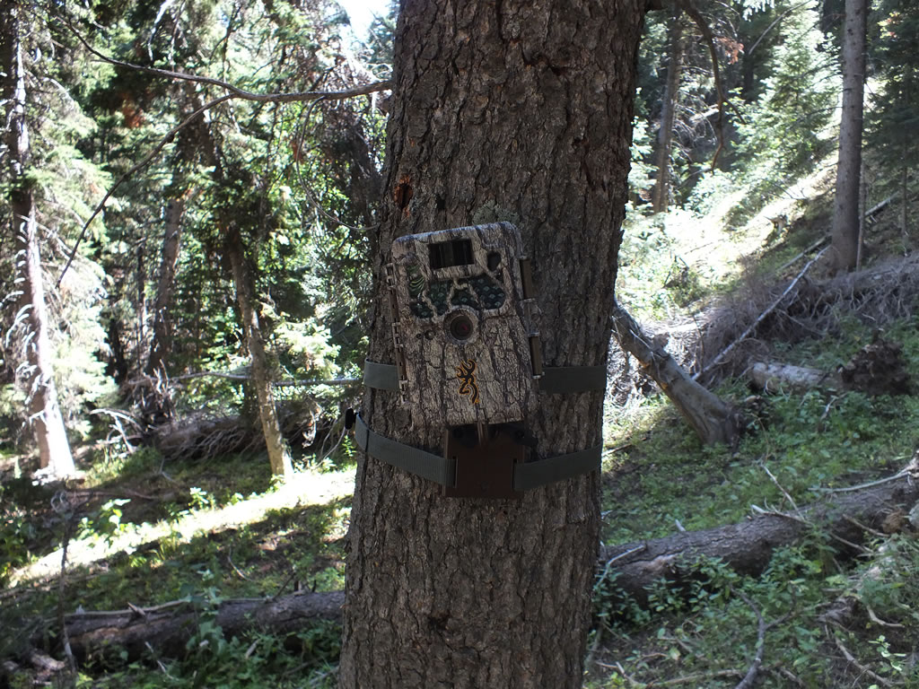 Browning Recon Force Trail Camera tilted to match slope of trail