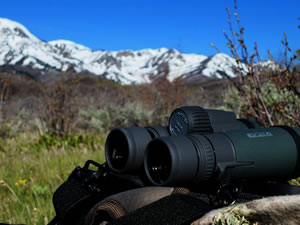 Vortex Razor HD 10x42 binoculars on my Alps Pathfinder pack.