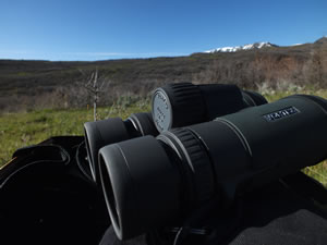 Glassing for sheds with Vortex Razor HD 10x42 binoculars.