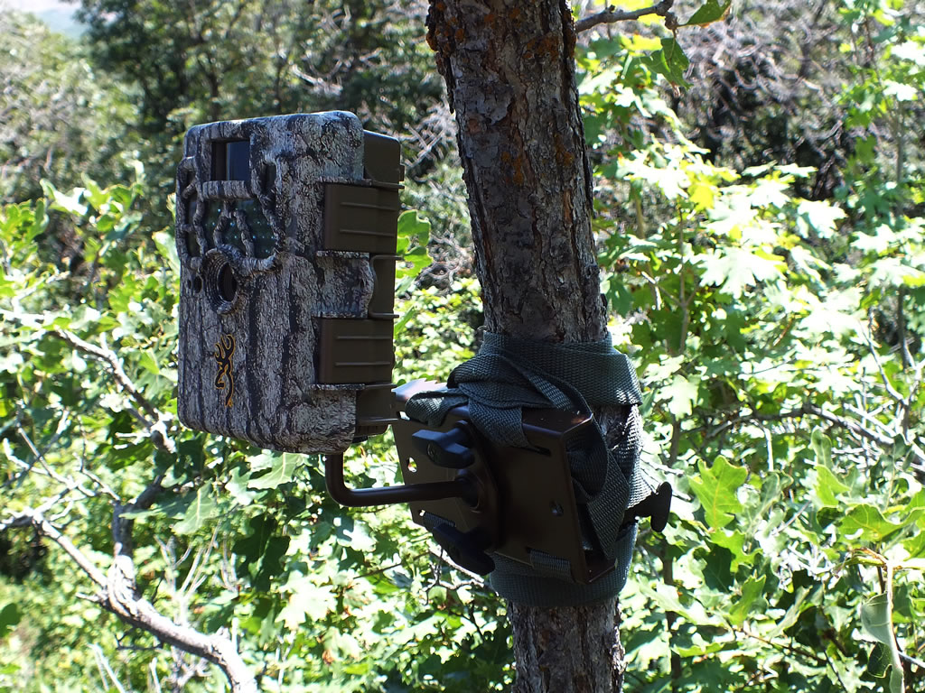 Browning Trail Camera tree mount oak brush
