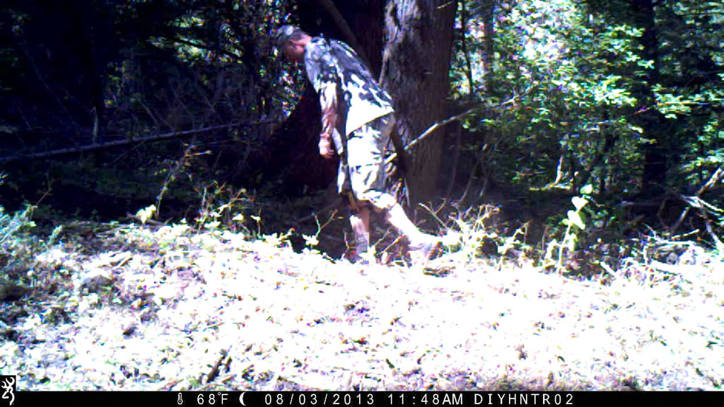 View from trail camera that is level
