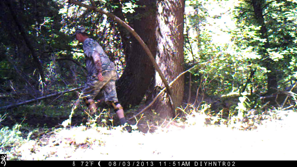 View with a trail camera that is tilted to match the angle of slope