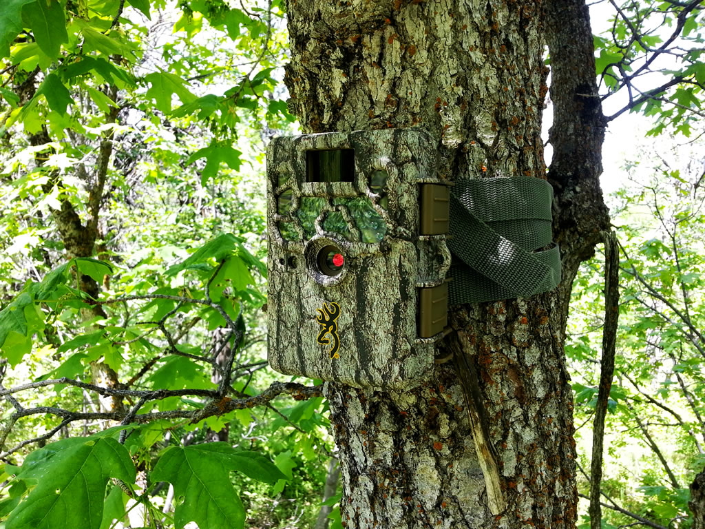 Camouflage Browning Recon Force Trail Camera BTC-2