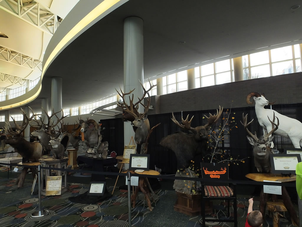 Big Game Mounts at the Western Hunting and Conservation Expo