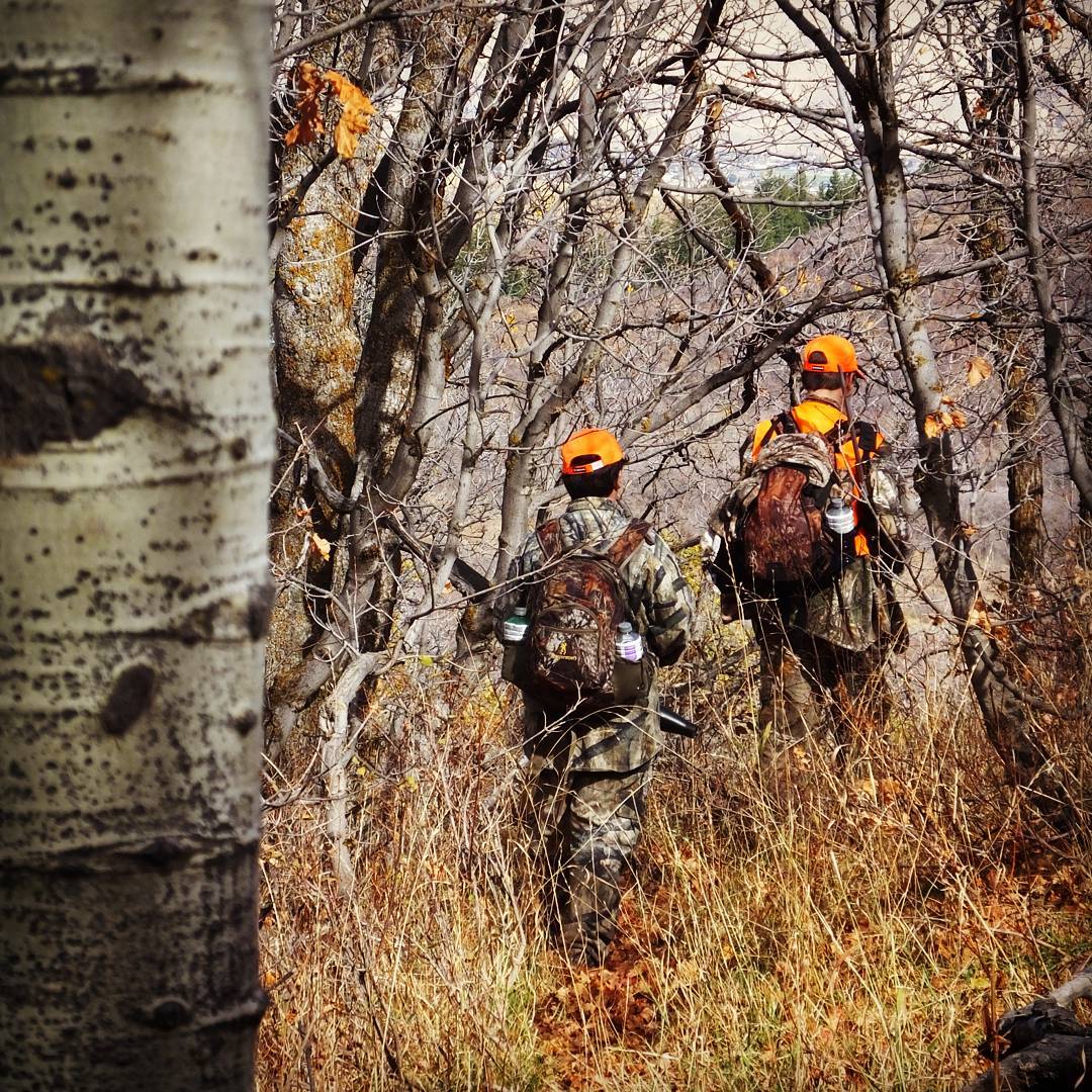Hunting the thick country for elk.