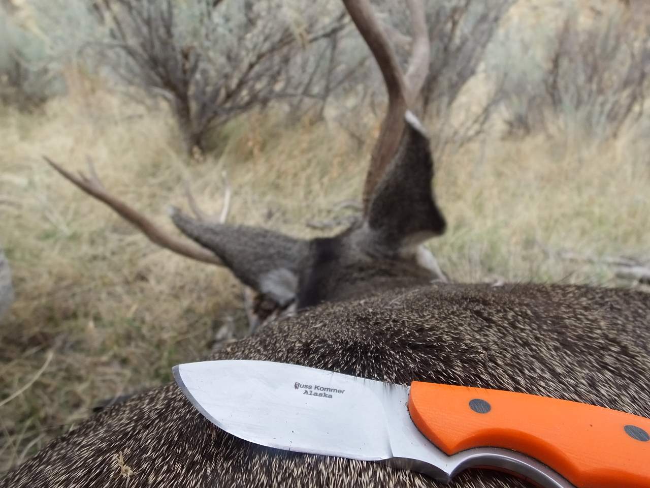 My favorite hunting knife, a Russ Kommer custom small skinner.
