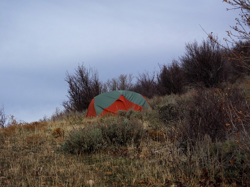 Alps Chaos Tent Elk Camp