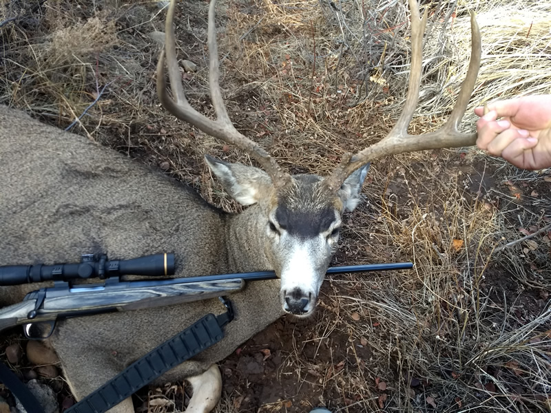 Dallen's 2018 buck with his X-bolt 300 WSM rifle.