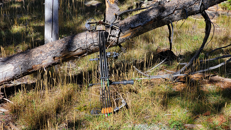 Hoyt bow archery elk hunting in Uinta mountains.