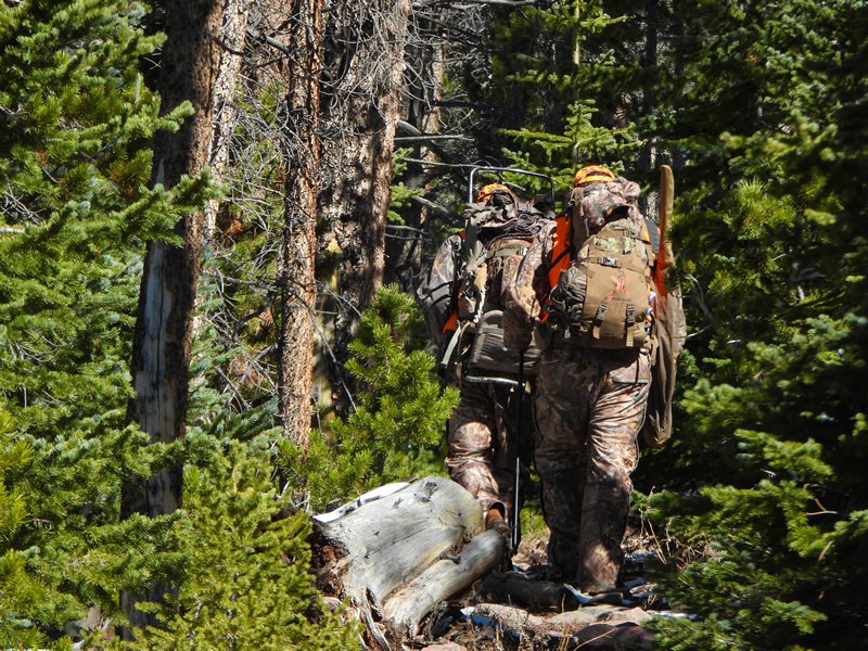 Alps Outdoors hunting packs.