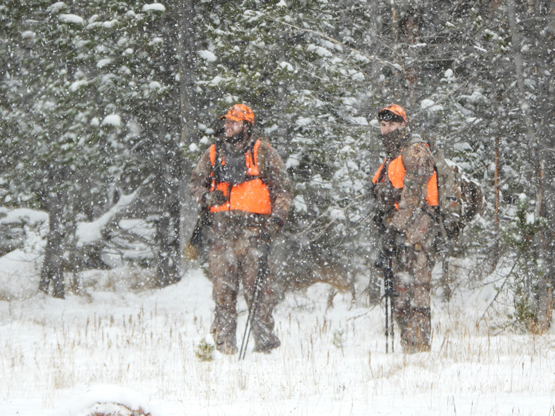 Hunting in snow storm in Uinta mountains.