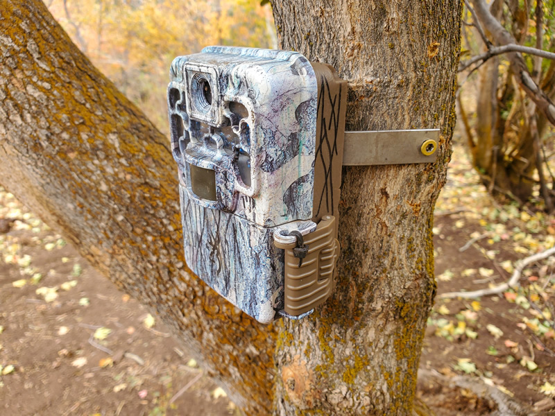 Browning Trail camera mounted to tree with metal strap and zip tied shut door.