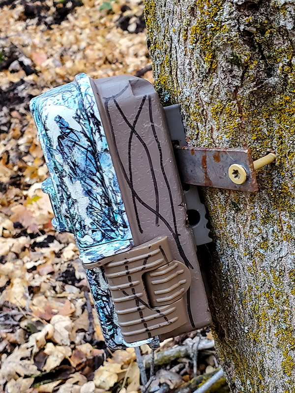 Browning Recon Foce Trail camera mounted to tree with metal strap.