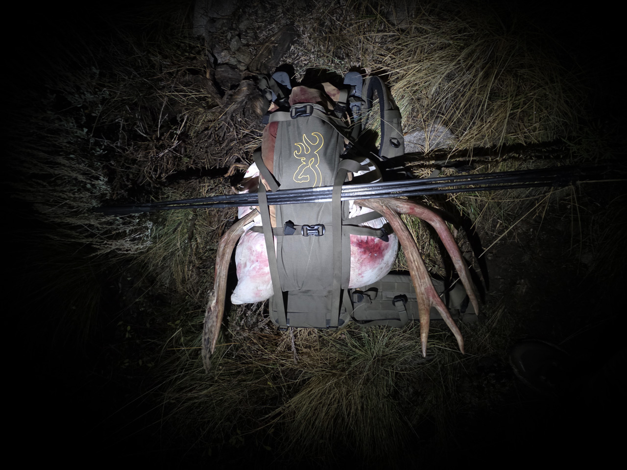 Buck loaded on frame pack ready to pack out.