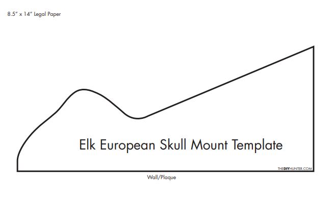 Homemade DIY Elk European Skull Mount Template